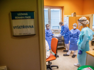 Stoupá počet nákaz s mutací omikron v Plzeňském kraji, největší nárůst bude ve druhé polovině týdne
