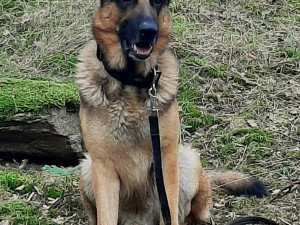 Diego už je zase doma