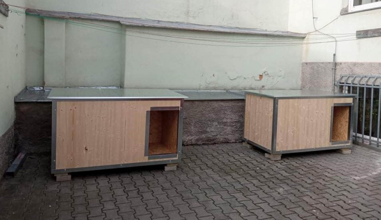 Bezdomovci mohou na noclehárnu i se svými psy, před Domovem sv. Františka vznikly nové kotce