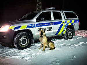 Policejní pes Bond má na svém kontě už celou řadu úspěšných zásahů