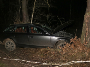 Zdrogovaný muž ukradl na parkovišti nastartovaný vůz Audi, při divoké honičce s policií narazil do stromu