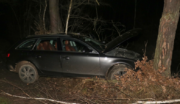 Zdrogovaný muž ukradl na parkovišti nastartovaný vůz Audi, při divoké honičce s policií narazil do stromu