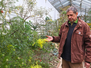 Botanická zahrada zve do svých skleníků na kvetoucí zimní pozdravy od protinožců