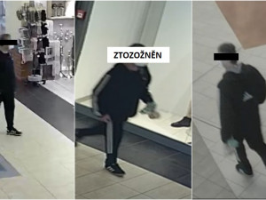 Muž v nákupním centru obtěžoval nezletilou dívku, vytáhl před ní své přirození