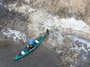 Zimní sčítání vodních ptáků na Berounce odhalilo orly mořské, ledňáčky i volavky bílé