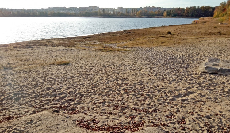 248679281_436868421116261_6997103075842200532_n