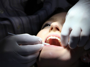 Kauza související s fungováním zubní pohotovosti v Plzeňském kraji začíná nabírat správný směr