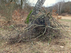 Neznámý vandal zcela nepochopitelně poškodil pomníček připomínající plzeňského ornitologa