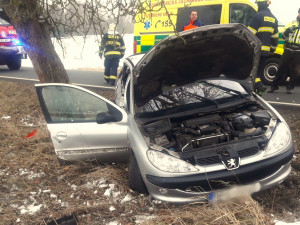 Plně obsazený Peugeot 206 narazil do stromu, při nehodě se zranilo pět mladých lidí