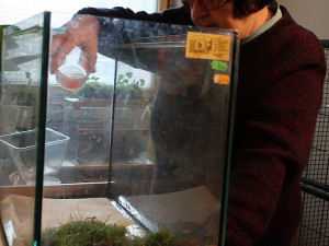 Žáby už leta zachraňuje Jiřina Hepová s manželem Jaroslavem