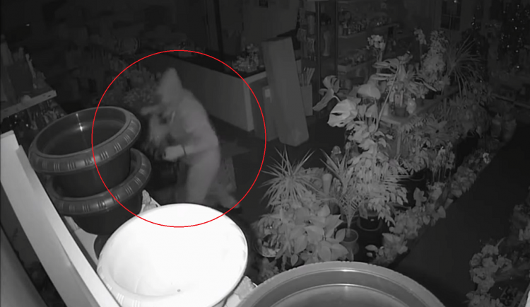 VIDEO: Za objednané zboží se jim platit nechtělo, výdejní místa trojice zlodějů vykradla