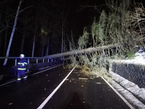 Silný vítr potrápil také západ Čech, meteorologové v týdnu očekávají sněžení a na Šumavě i závěje