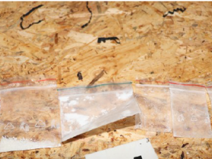 Policie při razii na nelegální pěstírnu marihuany objevila náboje i materiály k výrobě pyrotechniky