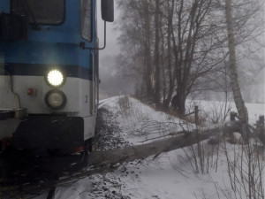 Mezinárodní osobní vlak narazil na Domažlicku do stromu vyvráceného silnou vichřicí