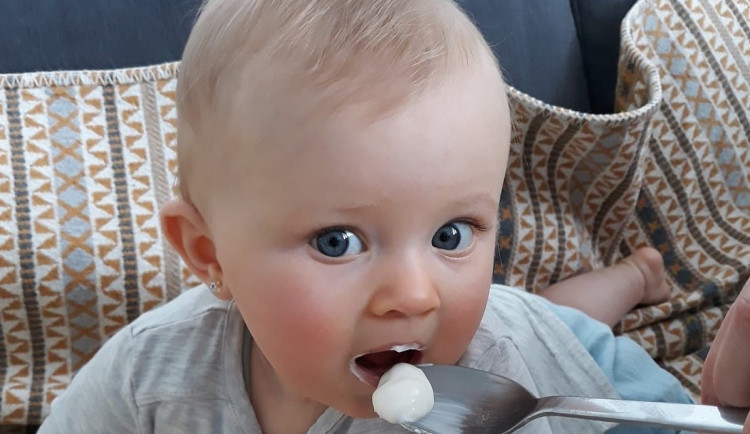 size3-16445753673697-2-lipanek-je-jako-jediny-bez-skrobu-dusiku-zelatiny-a-xanthanu