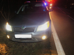 Bobr po střetu s vozidlem vyčkal na příjezd policie, potom slezl do potoka a odplaval