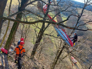 VIDEO: Pilot větroně nezvládl přistání a skončil v korunách stromů