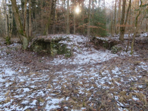 Turista zažil horor, ve sklepení polorozpadlého objektu uprostřed lesů našel starou rakev