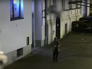 Neznámý vandal strhl a odcizil státní vlajku České republiky ze stožáru u plzeňského pomníku Díky, Ameriko!