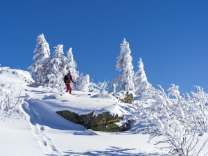 Za zimními radovánkami vyrážejí Češi jen pár kilometrů přes hranici do Bavorského lesa