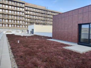 Fakultní nemocnice v Plzni představila nový pavilon psychiatrie za bezmála půl miliardy