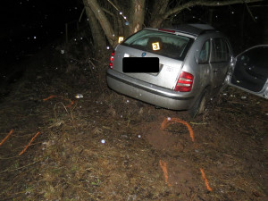 Řidič narazil do stromu a z místa nehody utekl