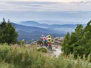 Marco Felgenhauer / woidlife photography