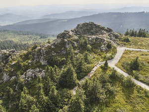 Woidlife / Stefanie Felgenhauer