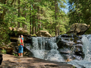 Marco Felgenhauer / woidlife photography