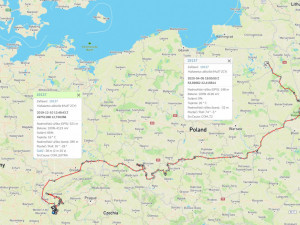 Slavný orel Pařátek zahynul v Polsku za záhadných okolností, ukradli mu i vysílačku na sledování polohy