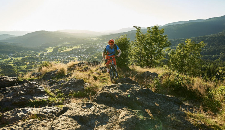 Marco Felgenhauer / woidlife photography