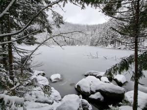 Projekt zároveň slouží jako obrovská fotobanka snímků od fanoušků i profesionálních fotografů.