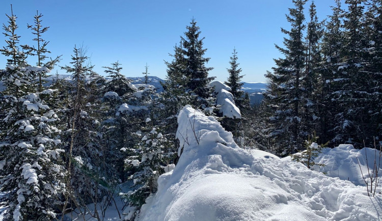 Incident se stal nedaleko od tohoto místa