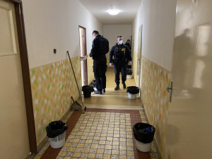 Policie podnikla velkou kontrolní akci zaměřenou na dodržování pobytového režimu cizinců