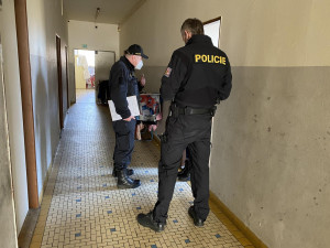 Policie podnikla velkou kontrolní akci zaměřenou na dodržování pobytového režimu cizinců
