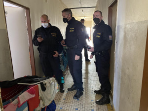 Policie podnikla velkou kontrolní akci zaměřenou na dodržování pobytového režimu cizinců