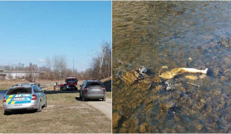 Torzo nohy trčící z vody spustilo velké policejní manévry, do ledové vody se vrhli i hasiči