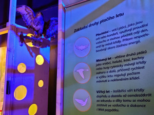 Unikátní interaktivní výstava hravou formou vysvětlí zákonitosti létání