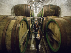 Prohlídková trasa v pivovaru Plzeňský Prazdroj je aktuálně přístupná včetně moderní stáčírny