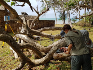 Plzeňští vědci zkoumali v Africe zaniklá svahilská města, díky 3D modelům bude možné místa navštívit i virtuálně