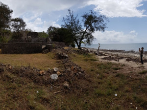 Plzeňští vědci zkoumali v Africe zaniklá svahilská města, díky 3D modelům bude možné místa navštívit i virtuálně