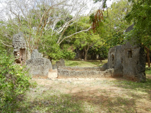 Plzeňští vědci zkoumali v Africe zaniklá svahilská města, díky 3D modelům bude možné místa navštívit i virtuálně