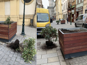 Dvojice vandalů v noci zdemolovala obří květináče osázené stromy a keři v samotném centru Plzně