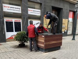 Dvojice vandalů v noci poškodila obří květináče osázené stromy a keři v samotném centru Plzně