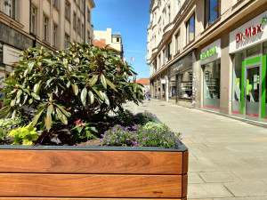 Takto krásně vypadají v létě osázené květináče ve Smetanově ulici
