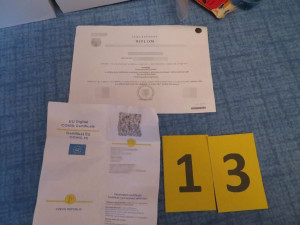 Zajištěné padělky