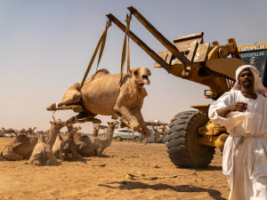 Expedice Z101 putuje po stopách slavných cestovatelů Hanzelky a Zikmunda už téměř rok