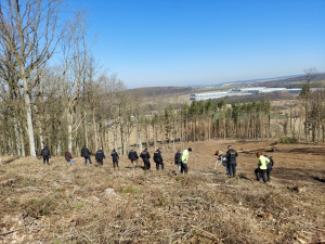 Hrůzný nález v lese, náhodní svědci tam objevili kosterní pozůstatky neznámého člověka