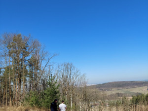 Hrůzný nález v lese, náhodní svědci tam objevili kosterní pozůstatky neznámého člověka