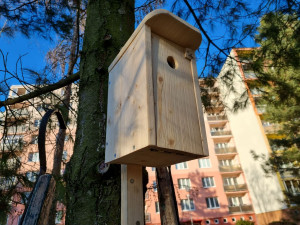 Sýkorkám či vrabcům budou na území prvního obvodu sloužit desítky nových budek